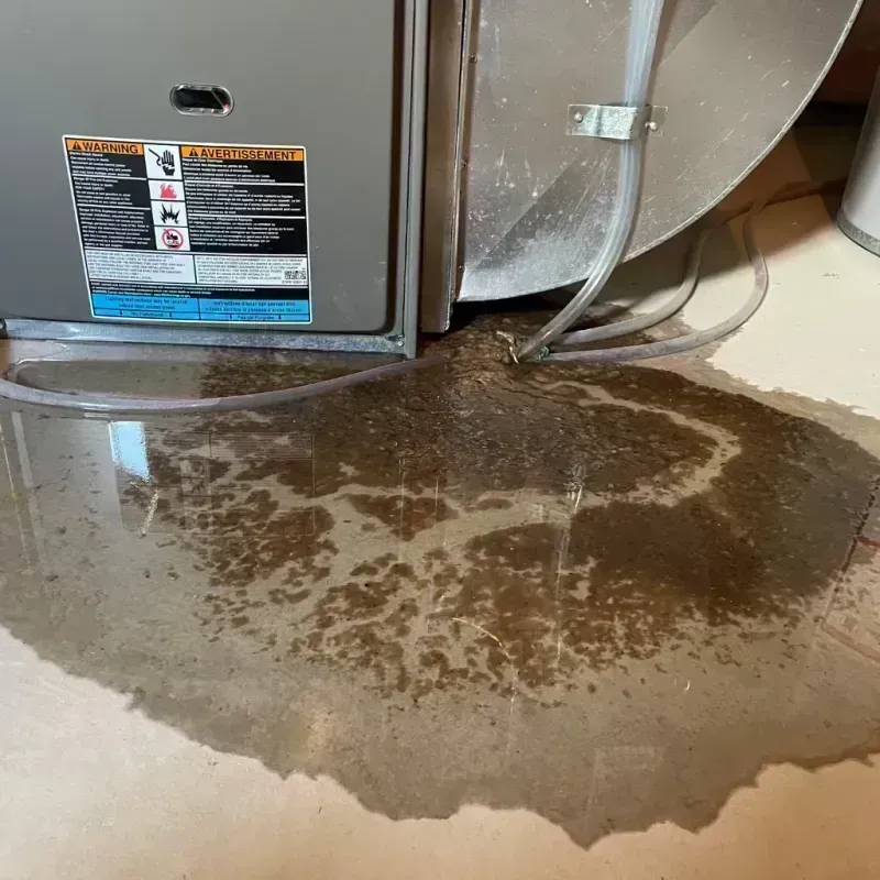 Appliance Leak Cleanup in Cherry Creek, CO